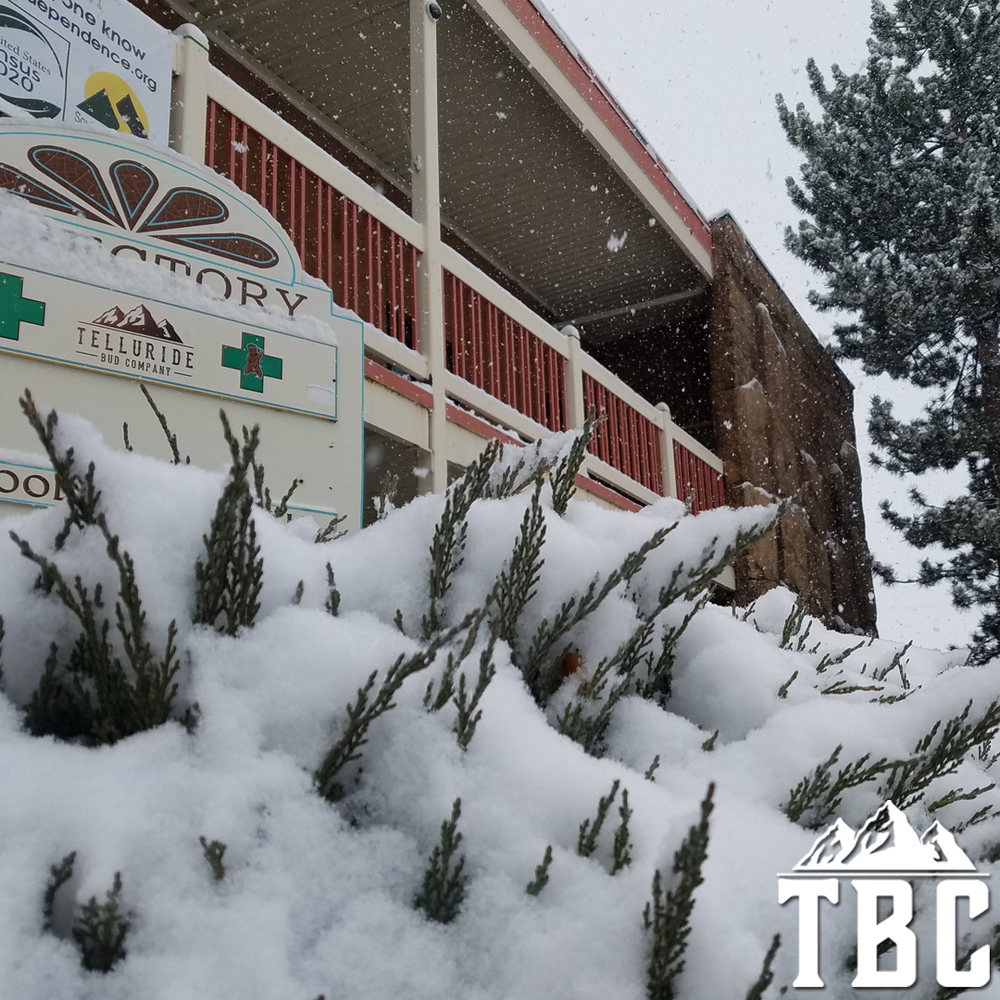 Telluride Bud Company photo 4