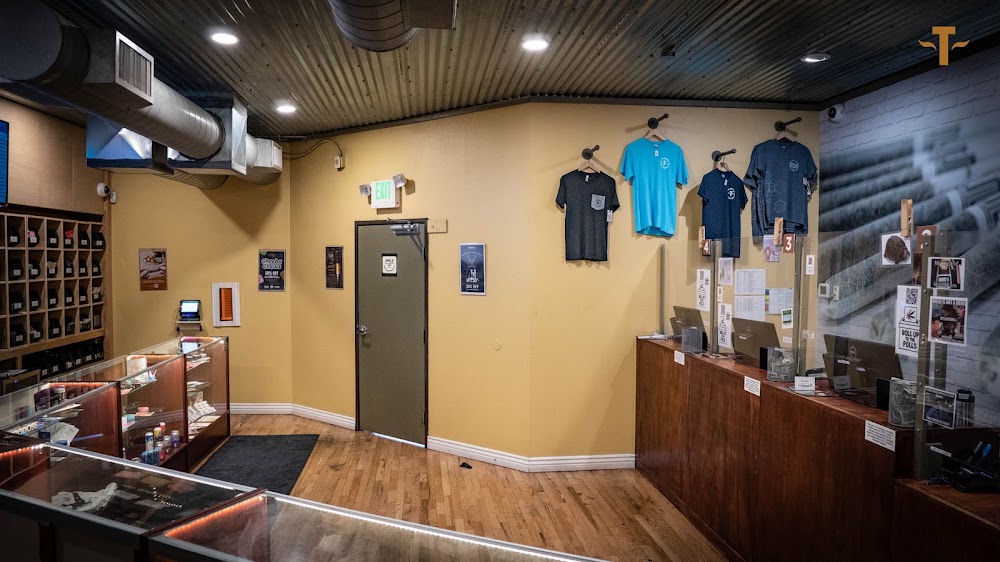 Terrapin Care Station photo 5