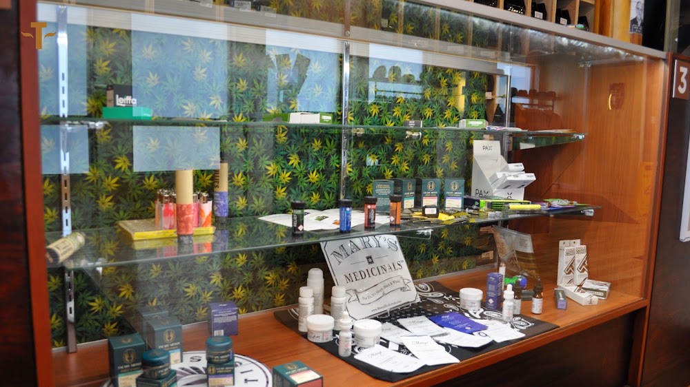 Terrapin Care Station photo 5