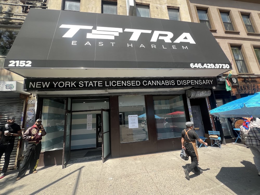 Tetra photo 3
