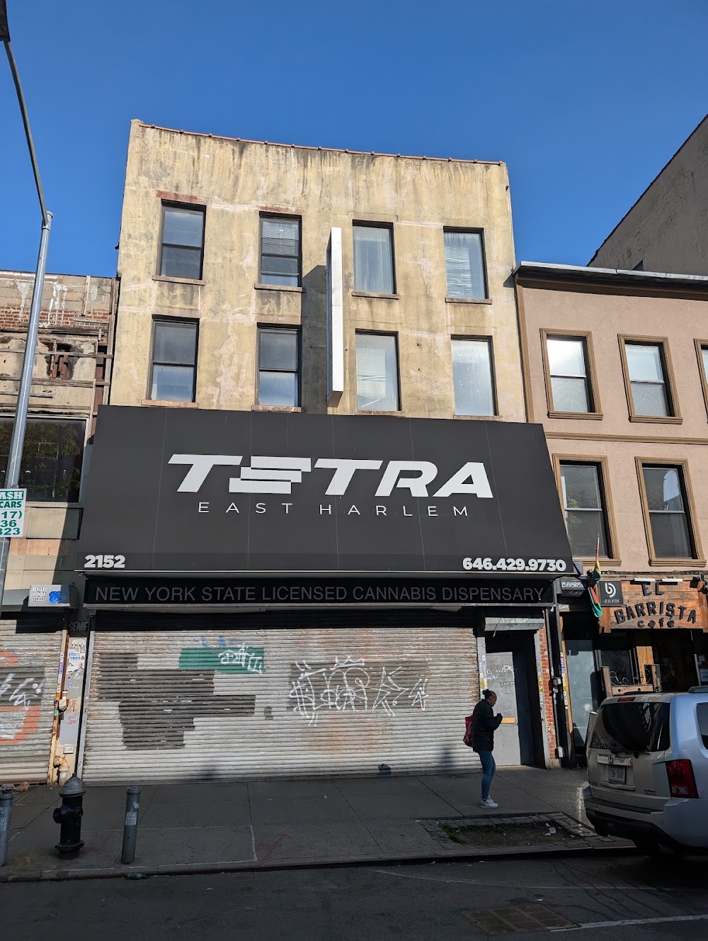 Tetra photo 5