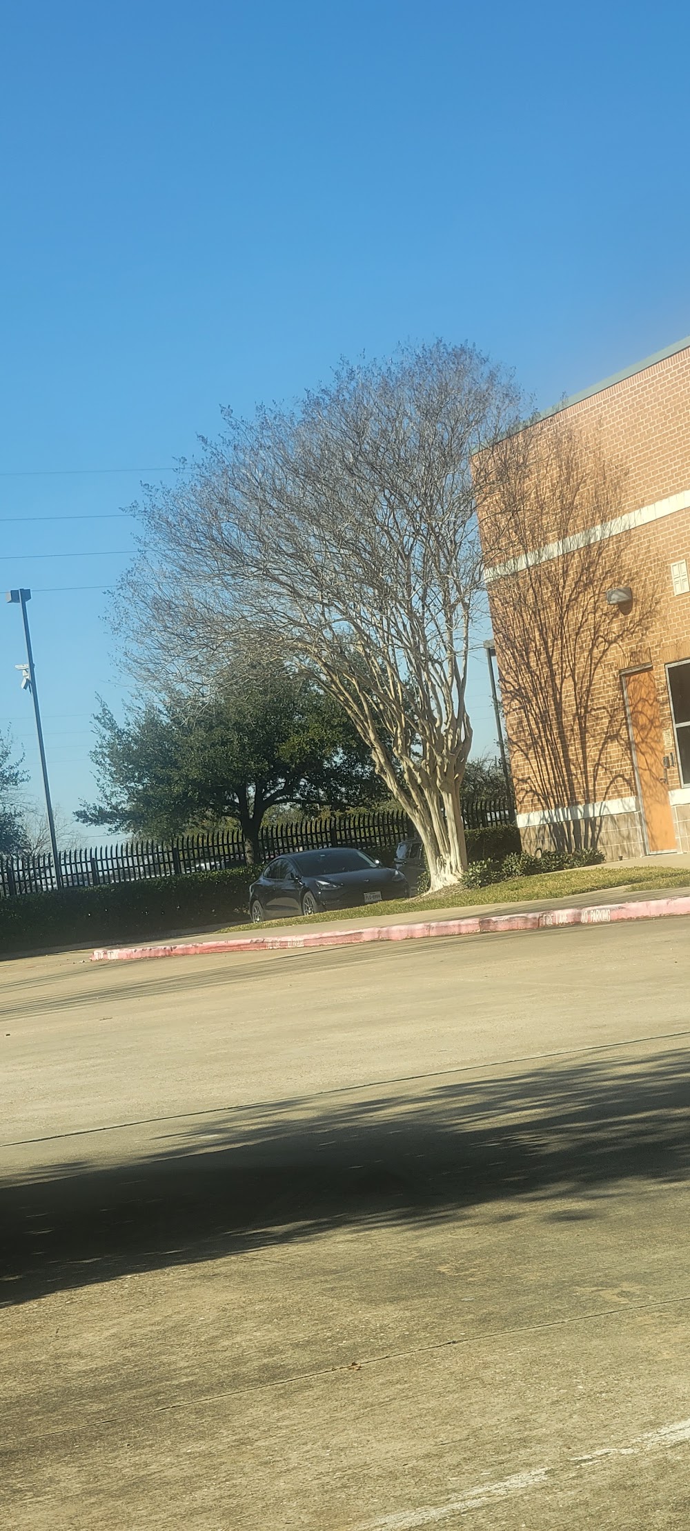 Texas Original - Sugar Land photo 4