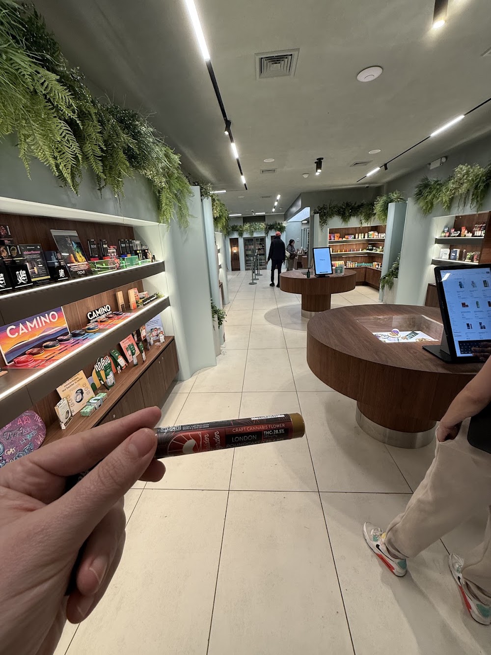 The Alchemy photo 8