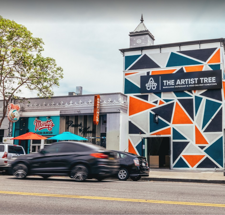 The Artist Tree photo 7