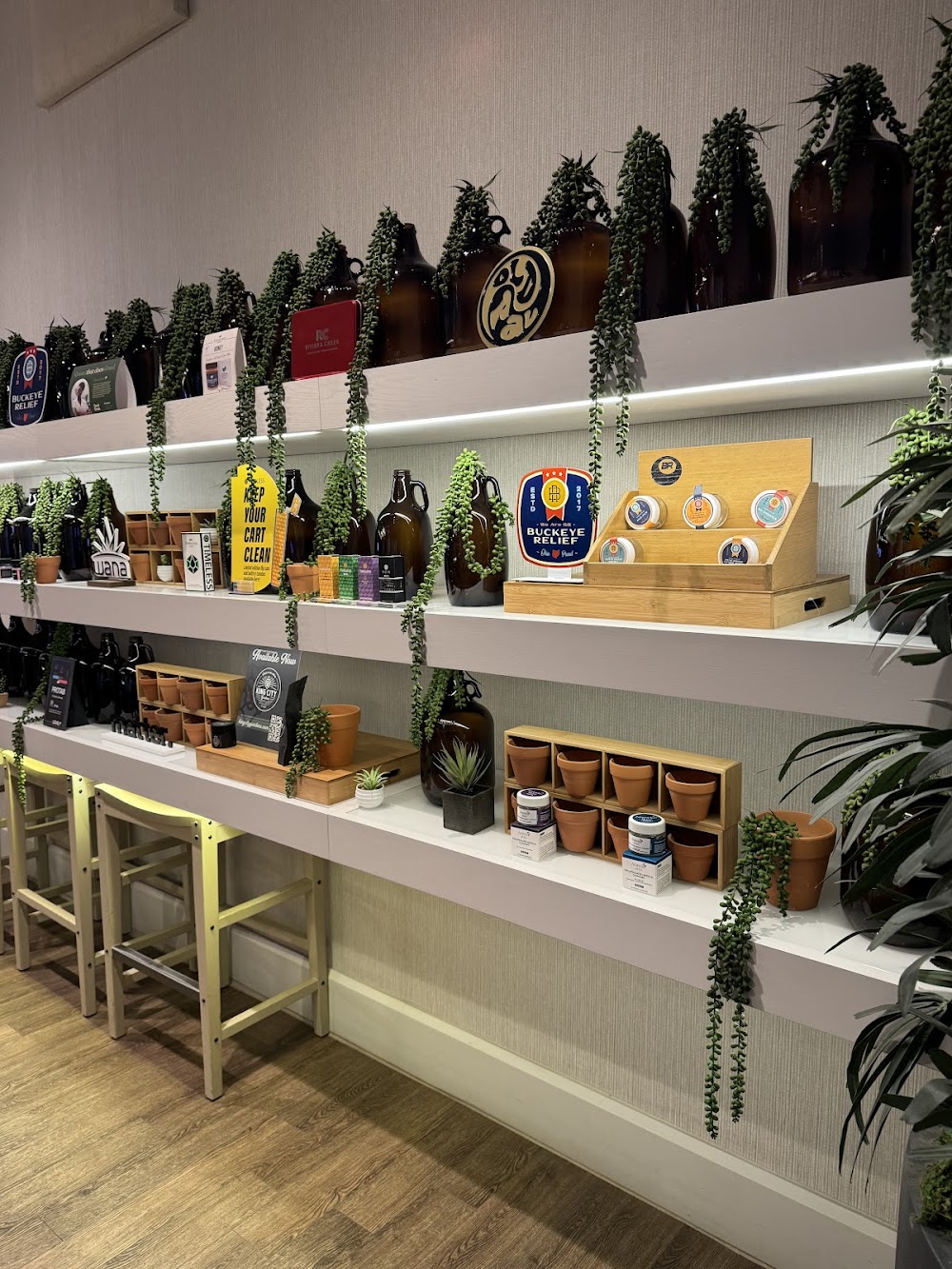 The Botanist photo 3