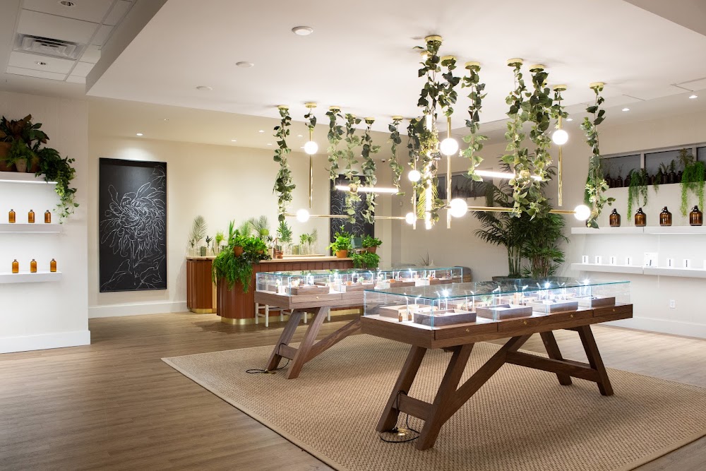 The Botanist photo 1