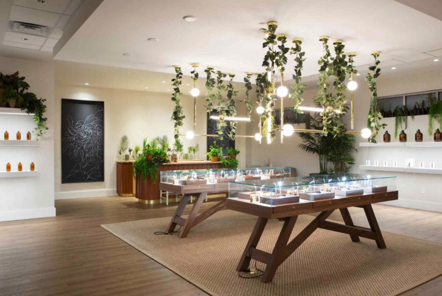 The Botanist photo 7
