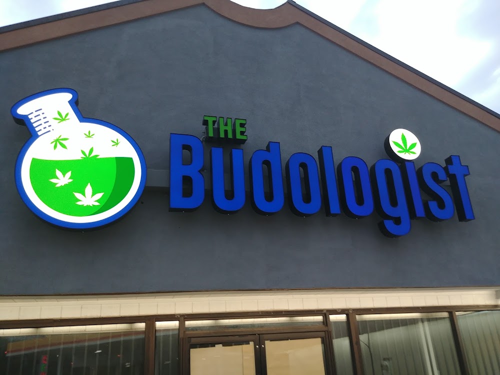 The Budologist photo 7