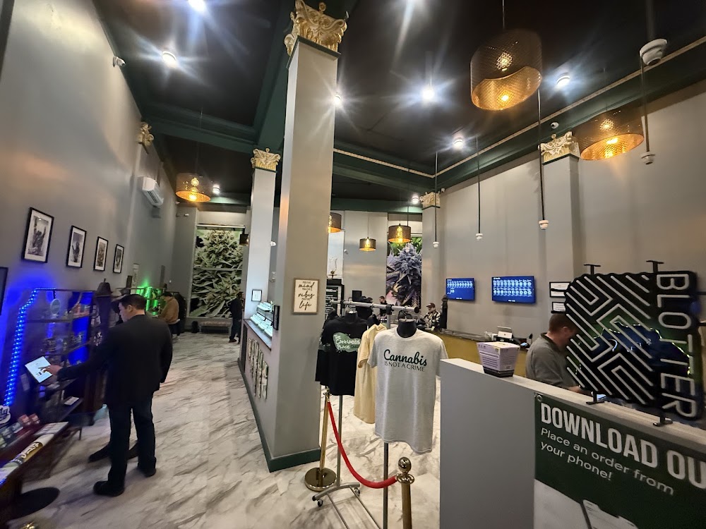 The Cannabis Place photo 2