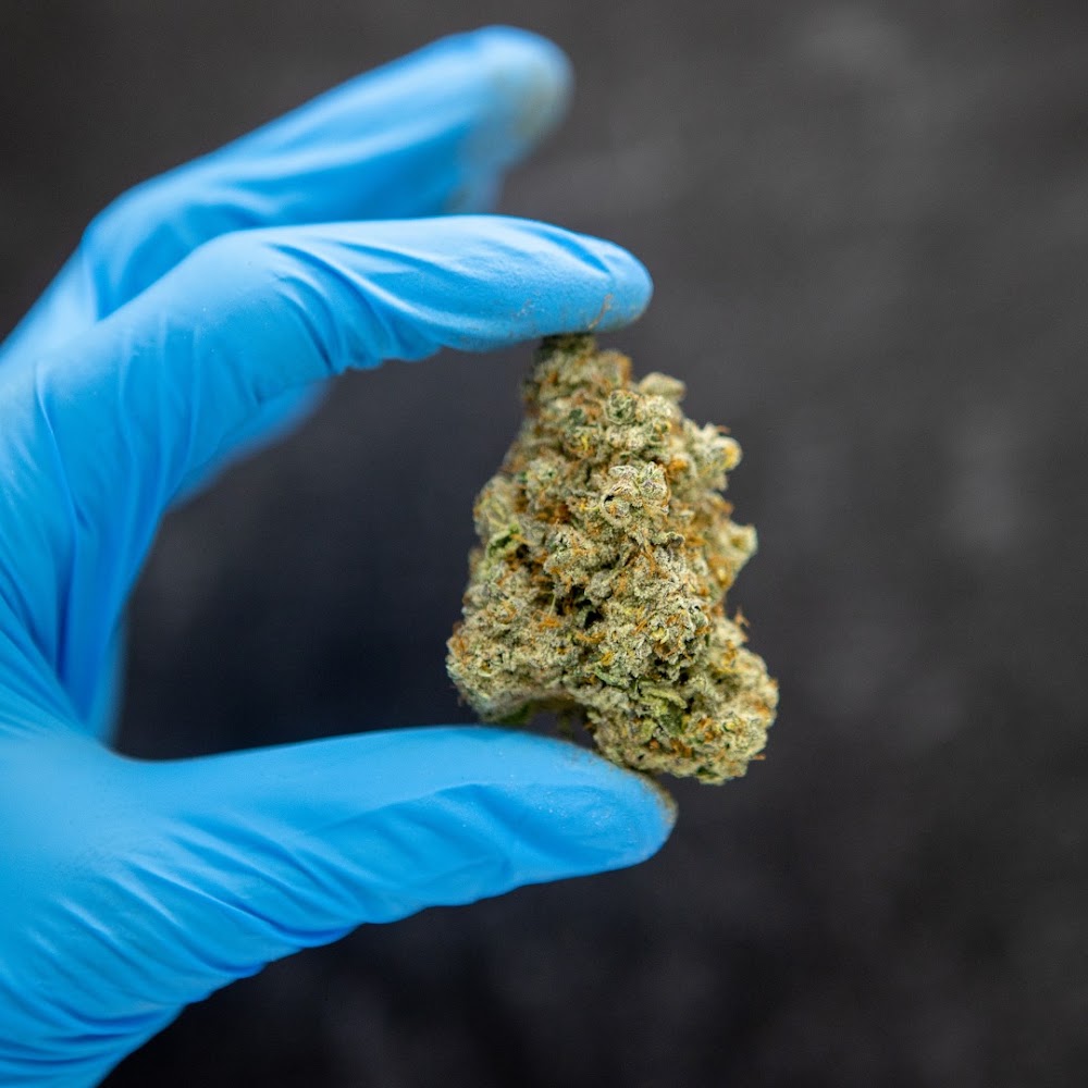 The Cannabist photo 6