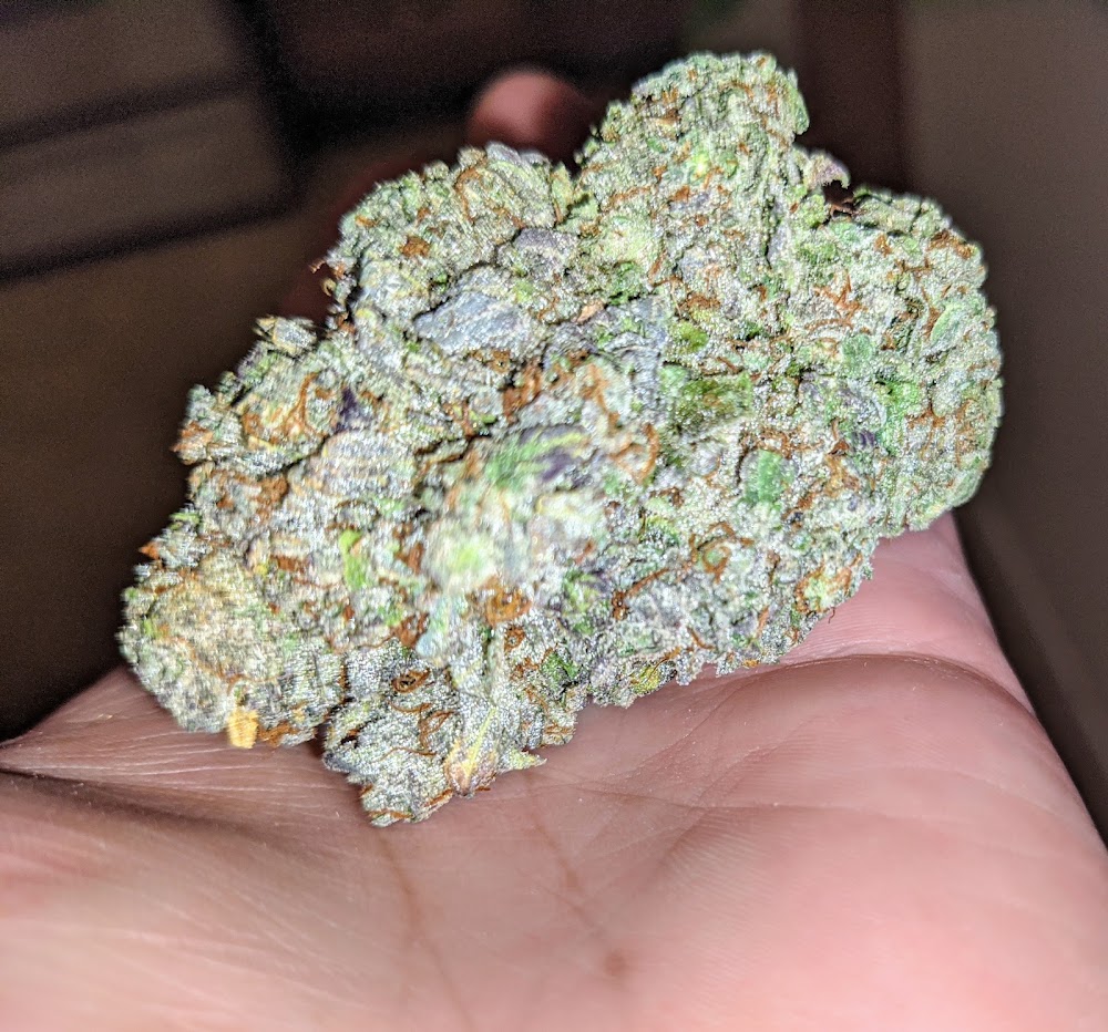The Chronic Factory photo 6