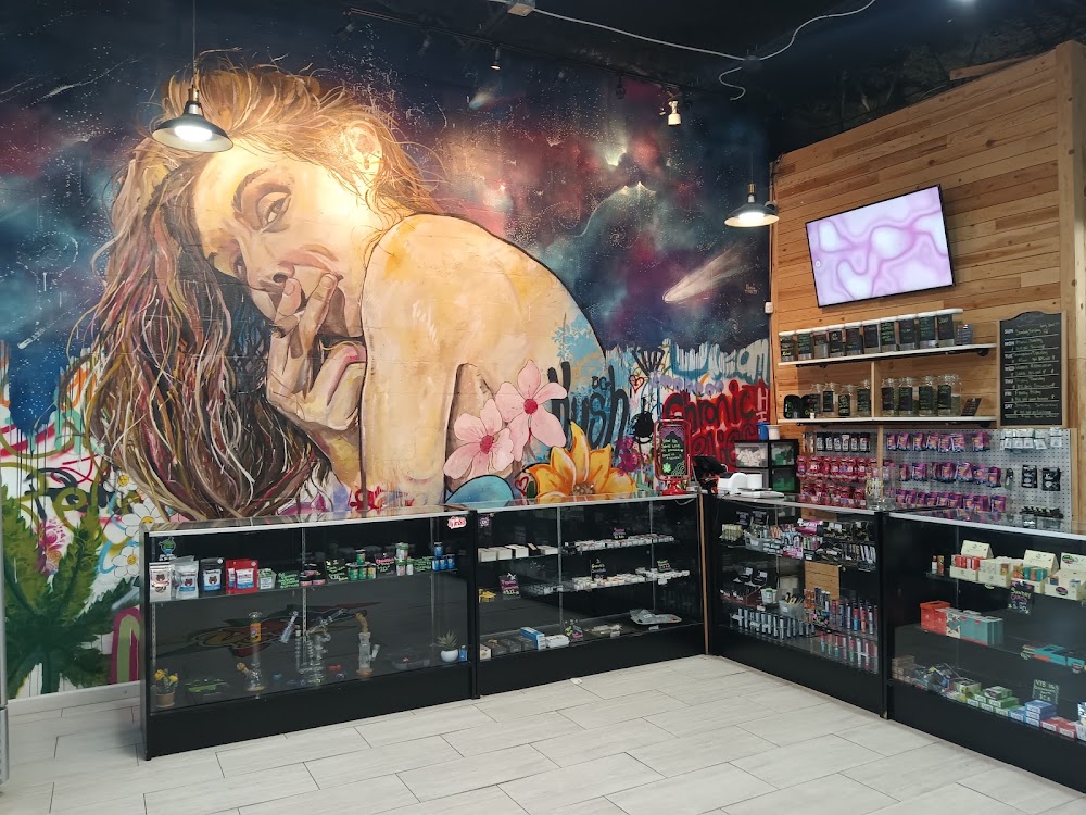 The Chronic Spot photo 2