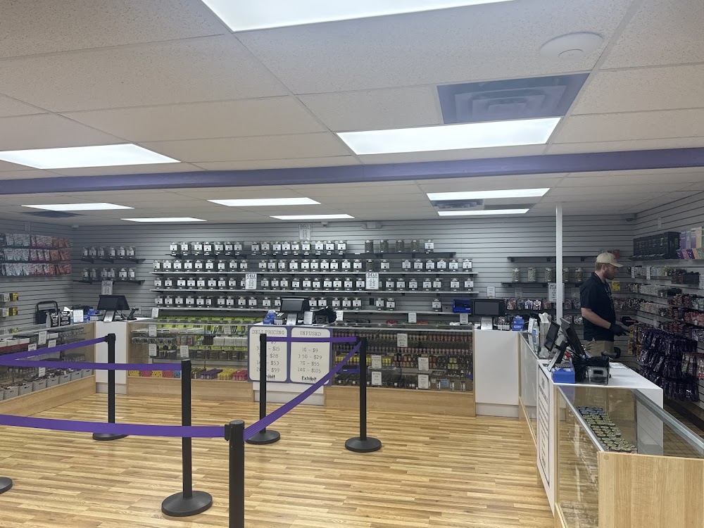 The Exhibit Cannabis CO photo 2