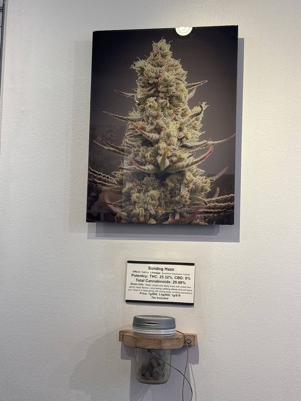 The Fireweed Factory photo 7