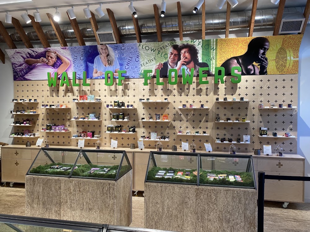 The Flore Store photo 7