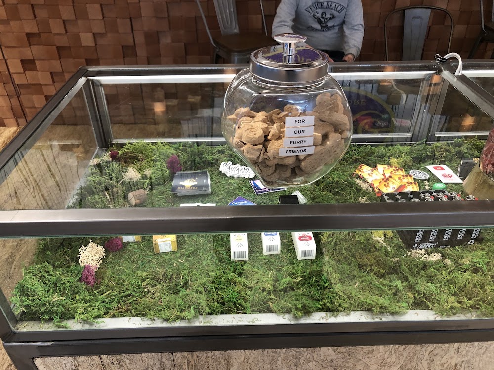 The Flore Store photo 8