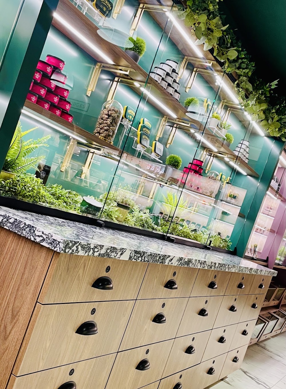 The Flower Shop Az photo 5