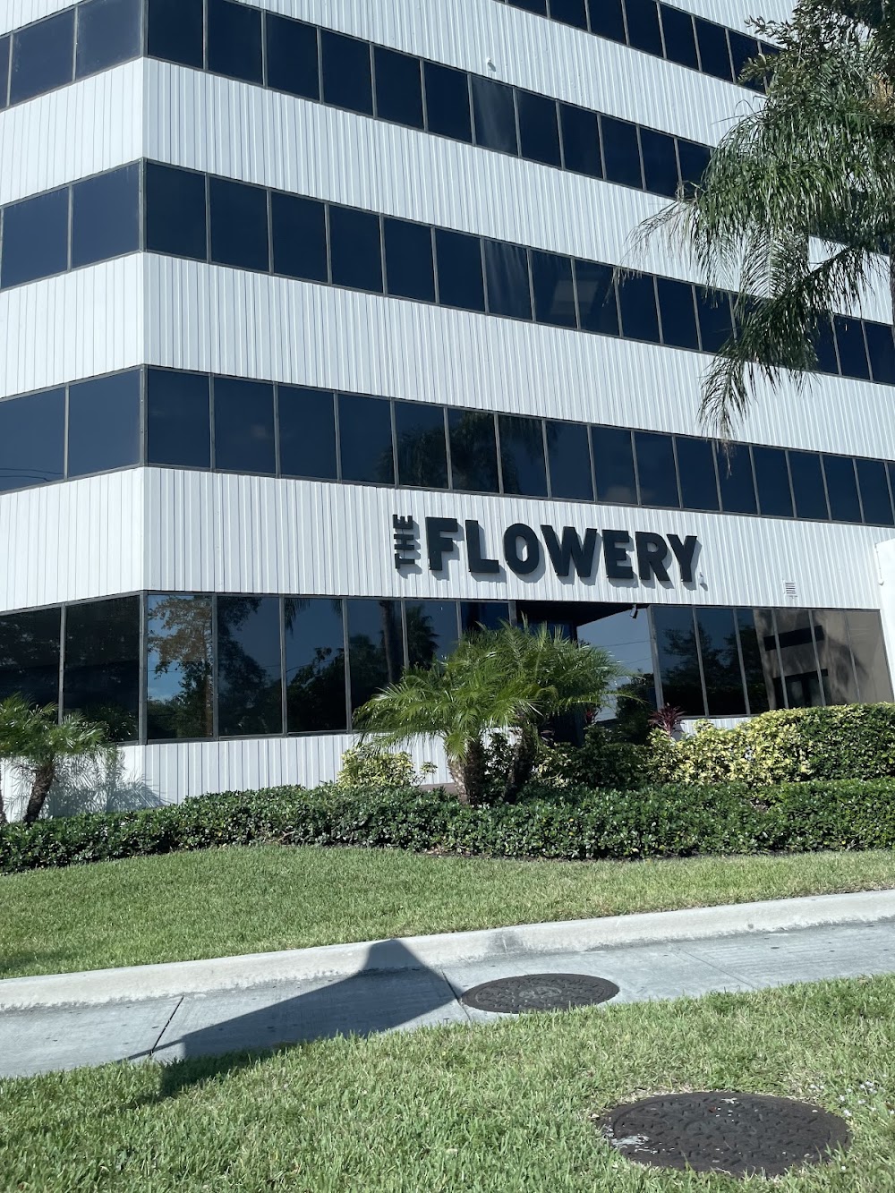 The Flowery photo 1