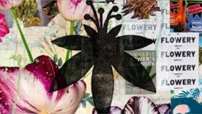 The Flowery photo 2