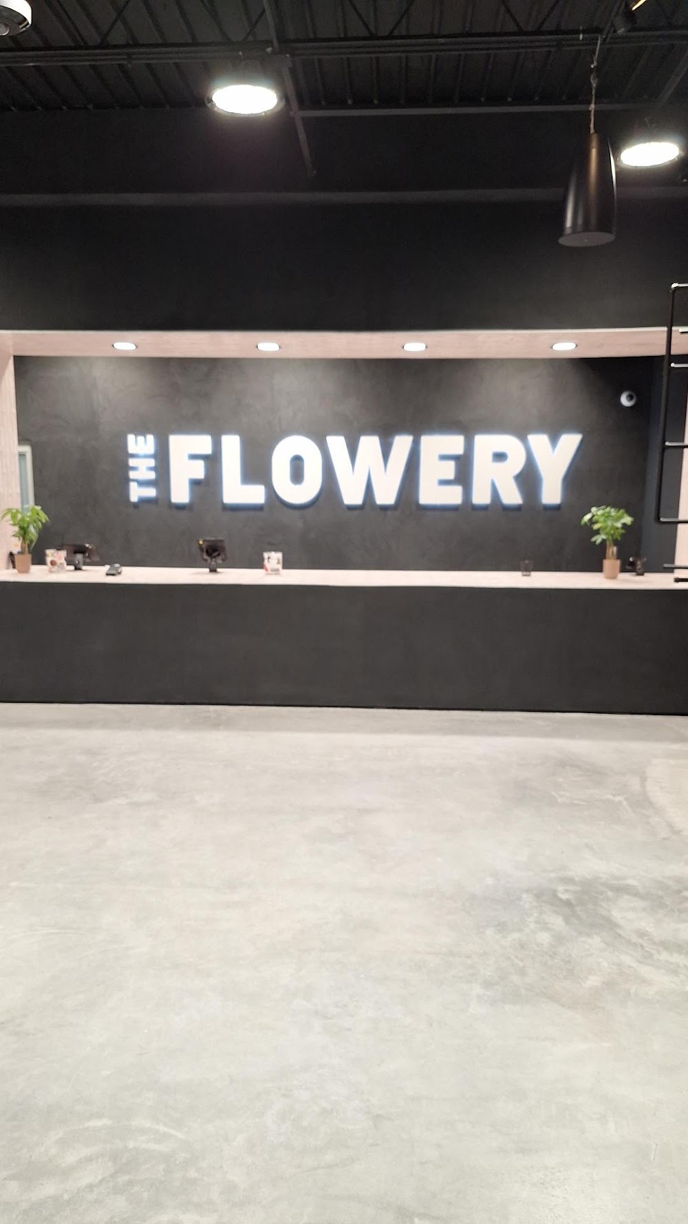 The Flowery photo 6