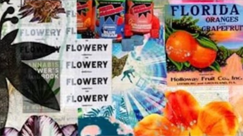 The Flowery photo 3