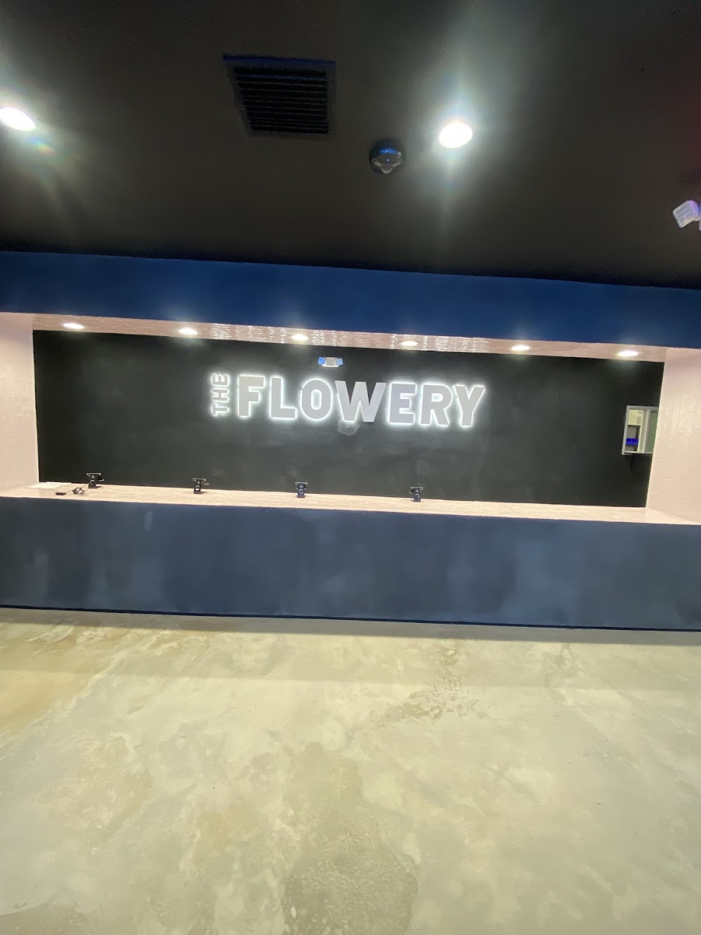 The Flowery photo 5