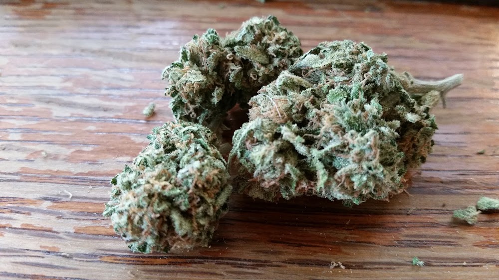 The Green Heart photo 5