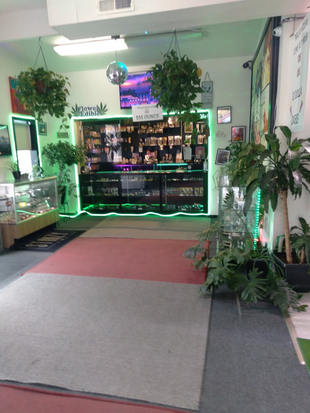 The Green Nugget photo 3