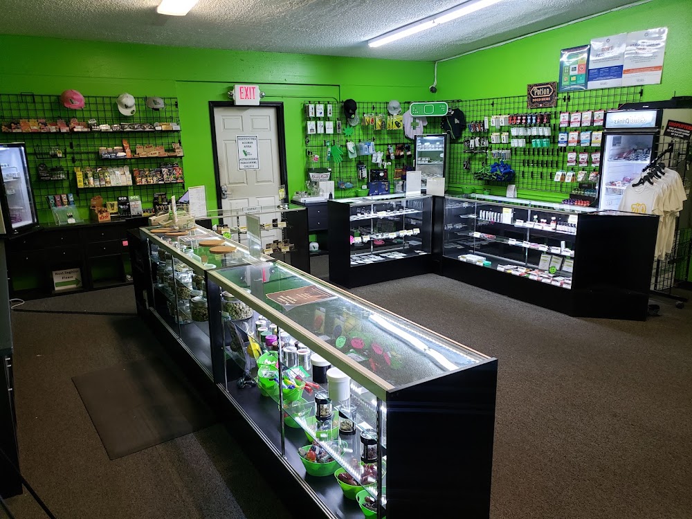 The Green Remedy photo 6