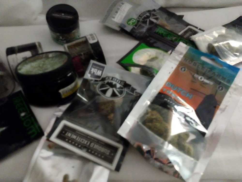The Green Seed photo 4