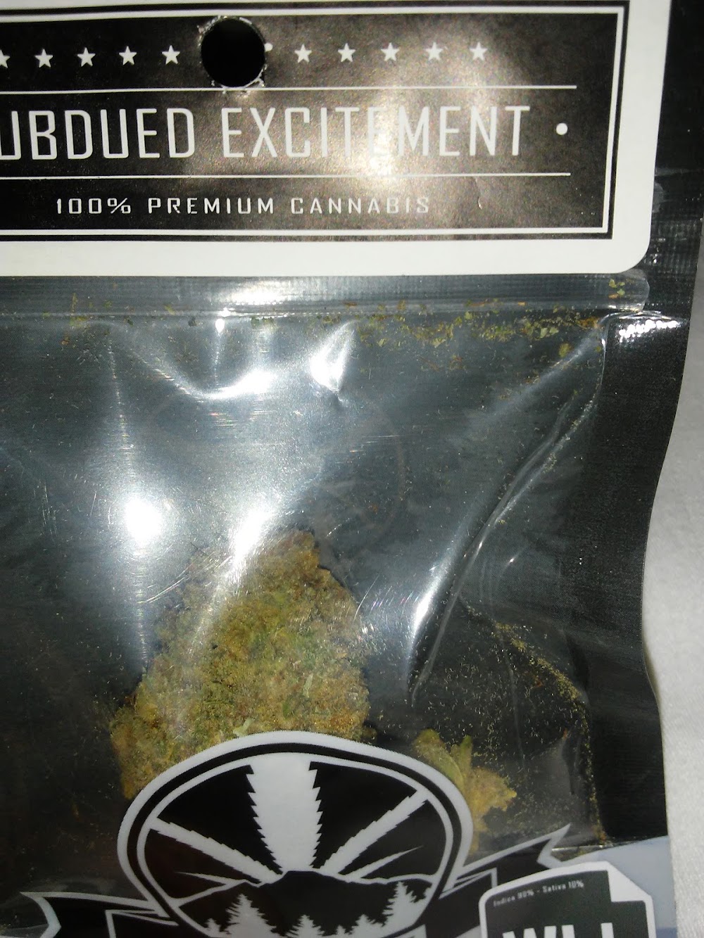 The Green Seed photo 7