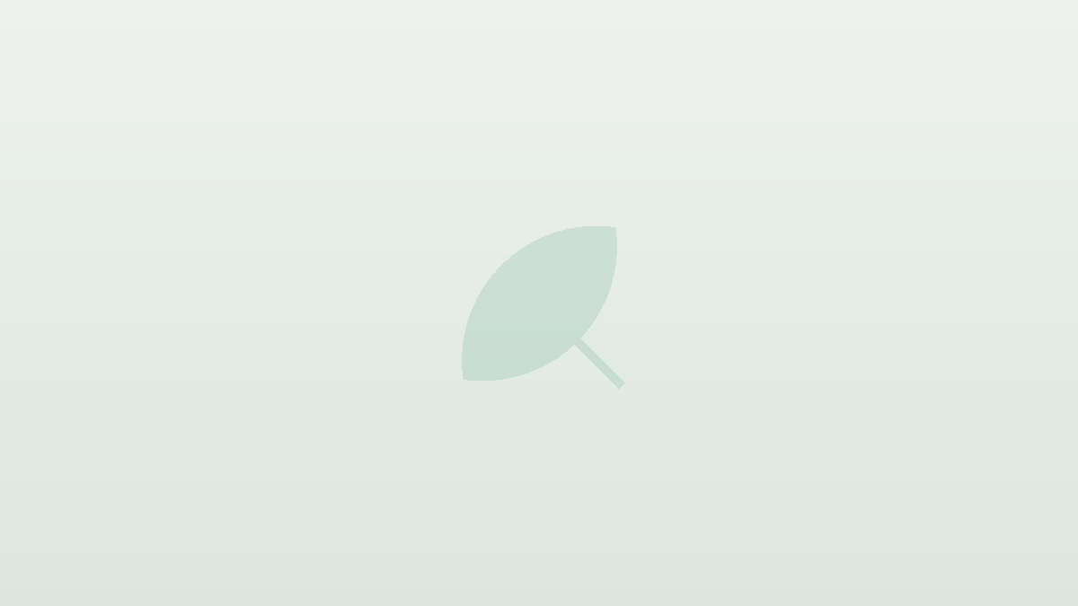 The Green Solution photo 2