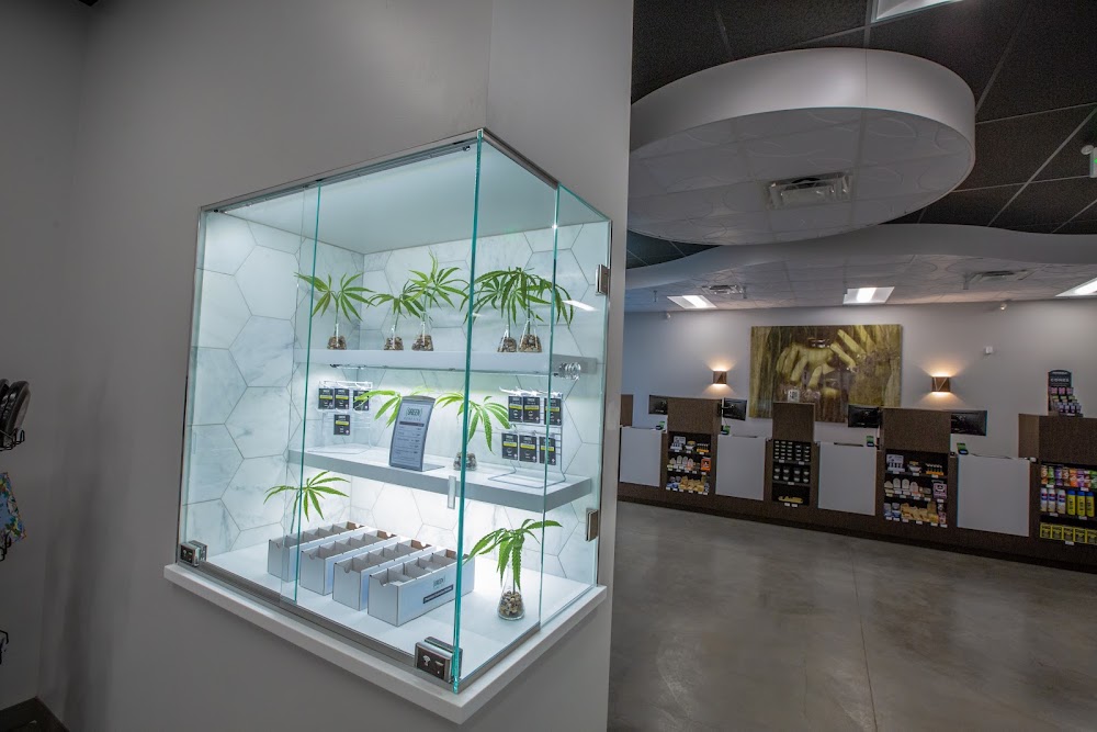 The Green Solution photo 8