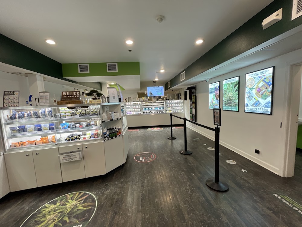 The Green Solution photo 5