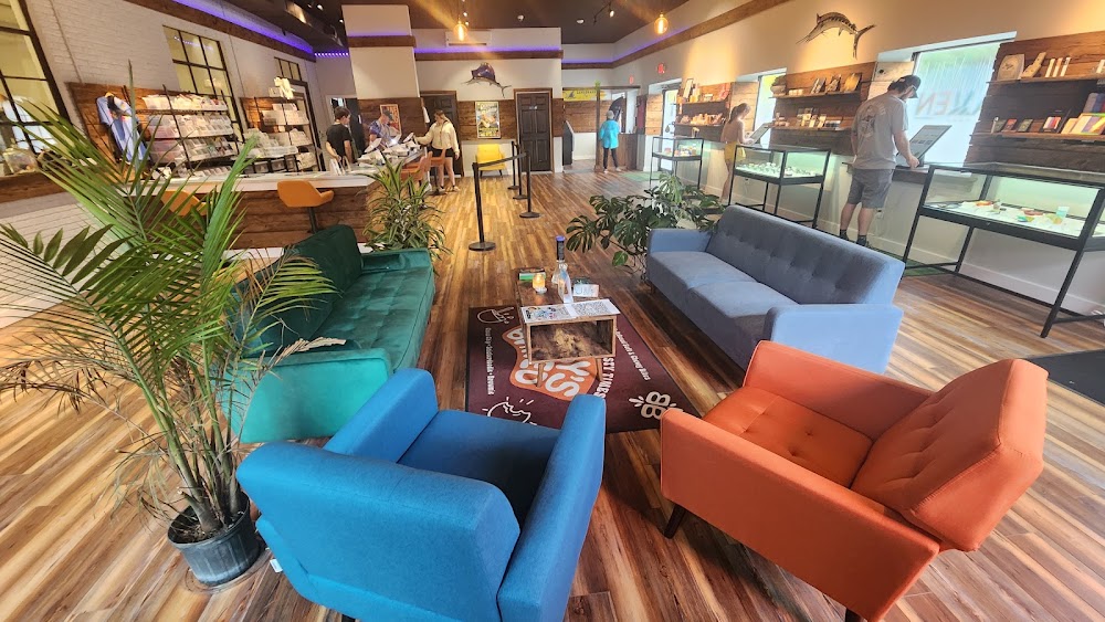 The Haven Center photo 3