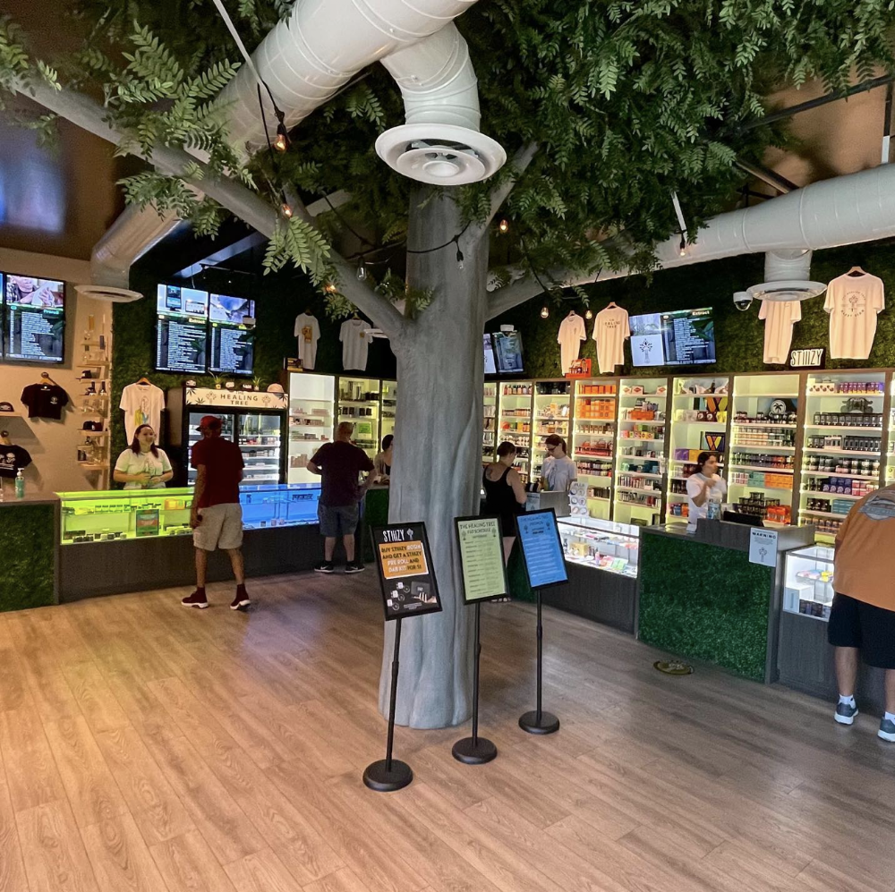 The Healing Tree photo 2