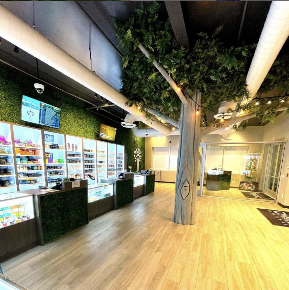 The Healing Tree photo 5