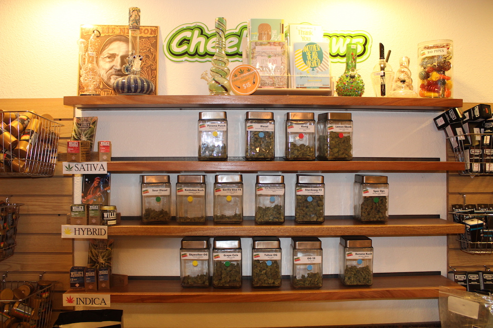 The Herbal Cure photo 3