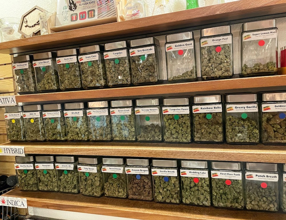 The Herbal Cure photo 6