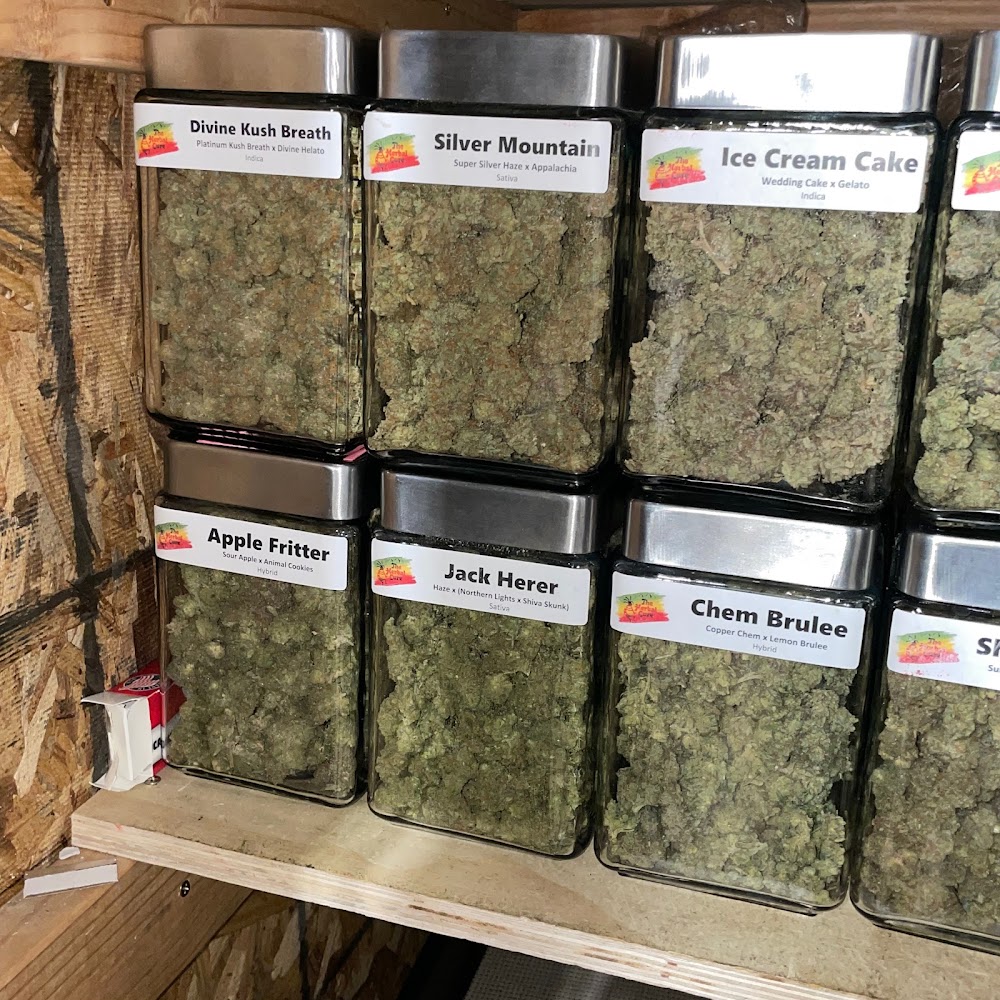 The Herbal Cure photo 8