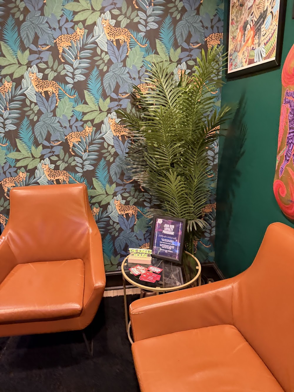 The Jungle House photo 5