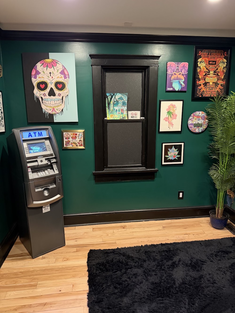 The Jungle House photo 7