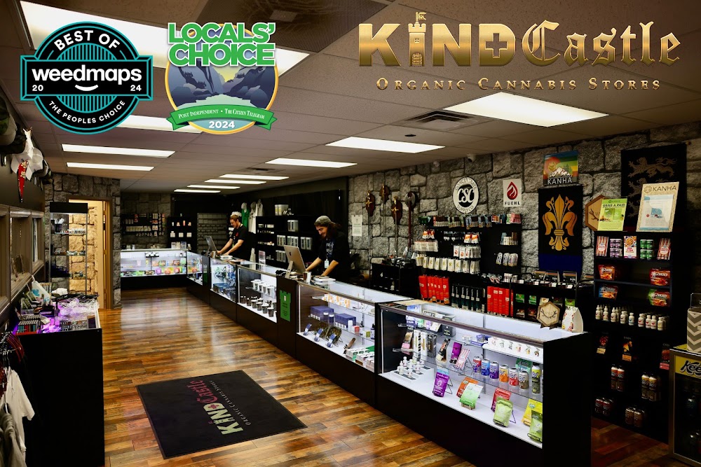 The Kind Castle photo 4