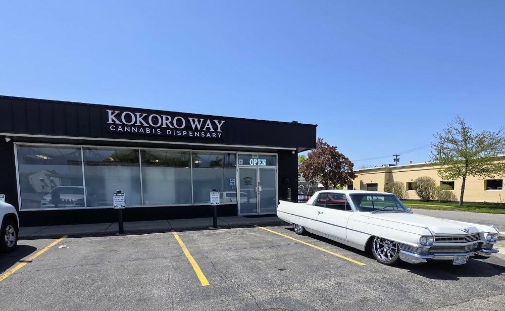 The Kokoro Way photo 1