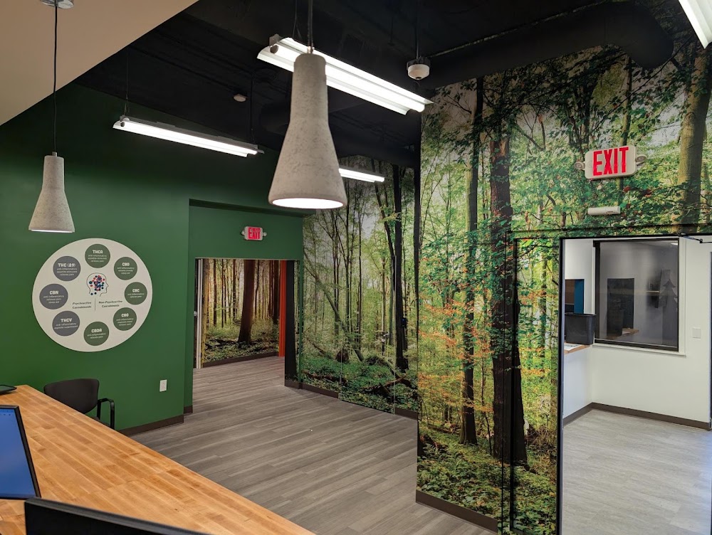 The Landing Dispensary - Hurricane photo 5