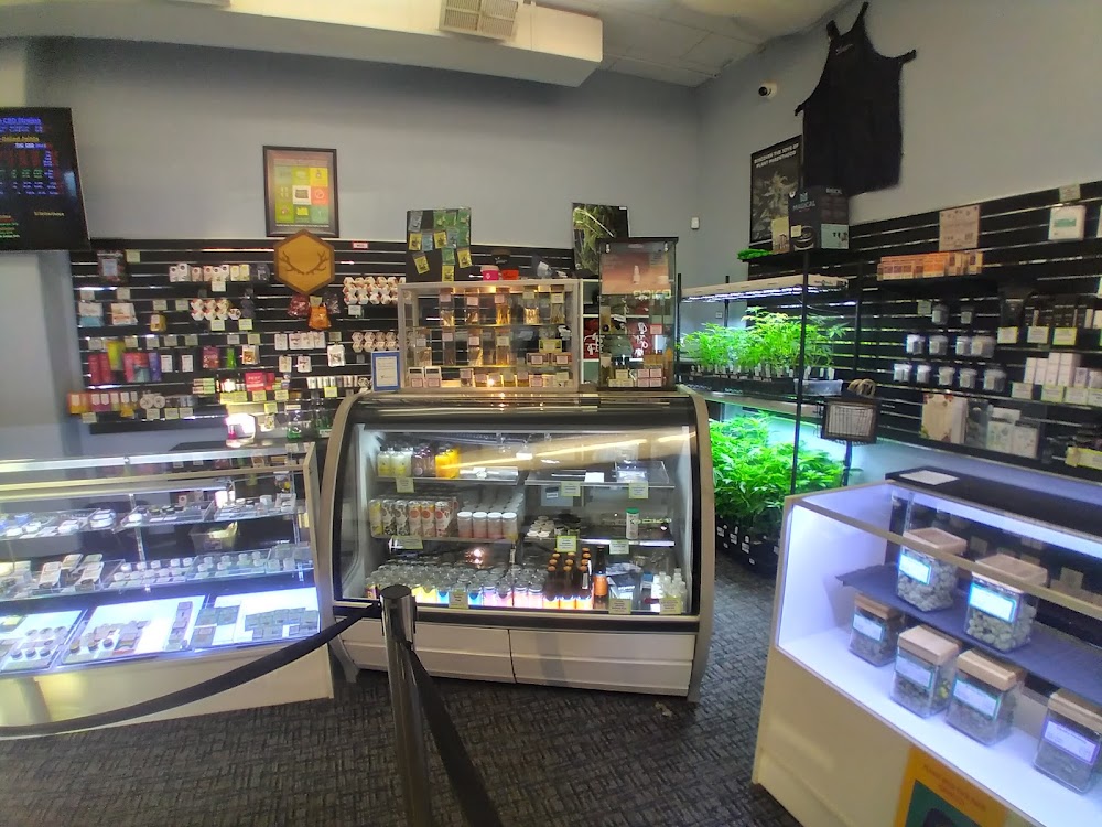 The Medication Station photo 3
