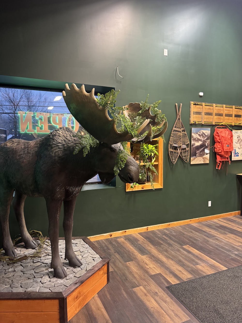 The Mellow Moose photo 2