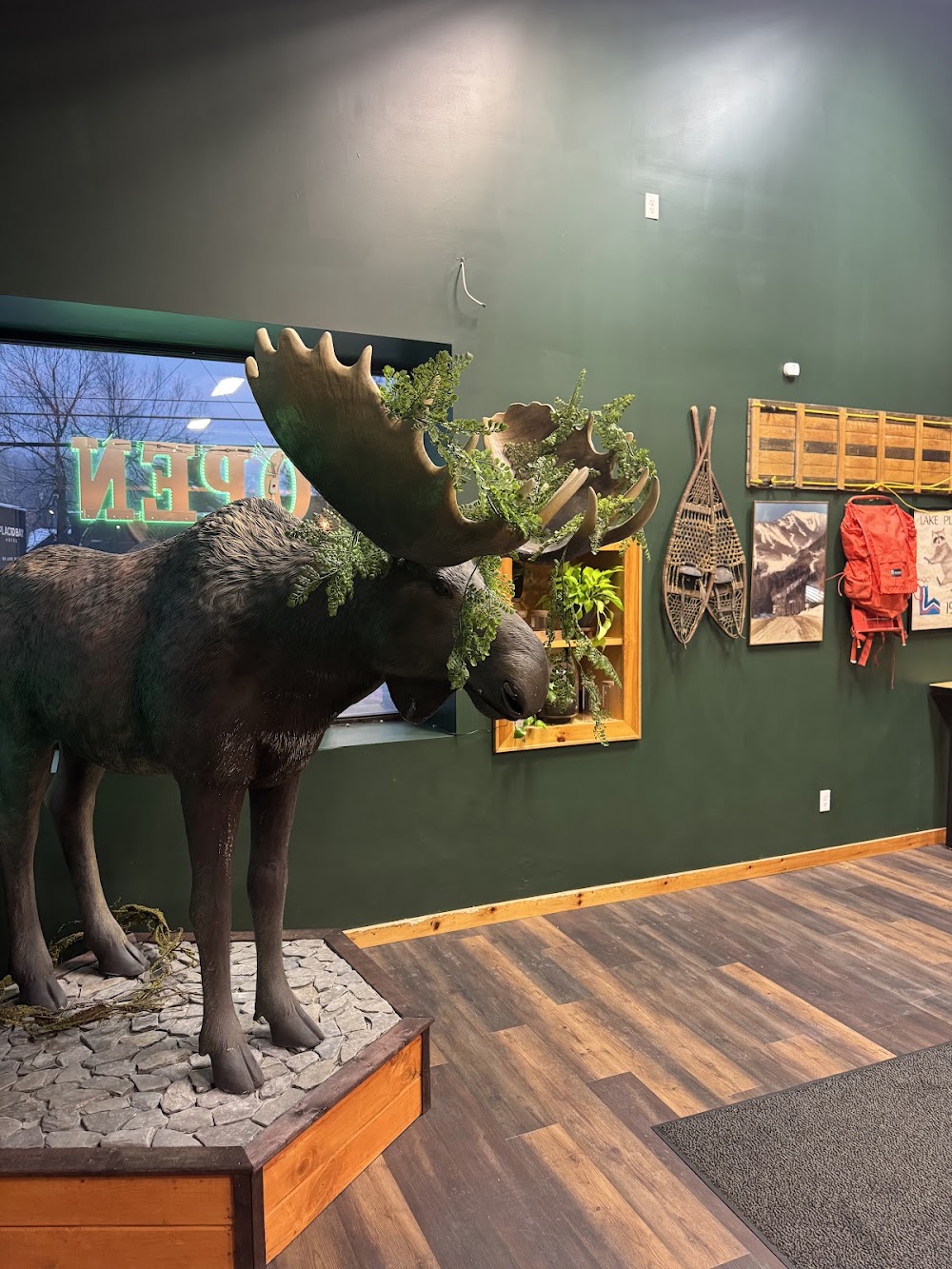 The Mellow Moose photo 5
