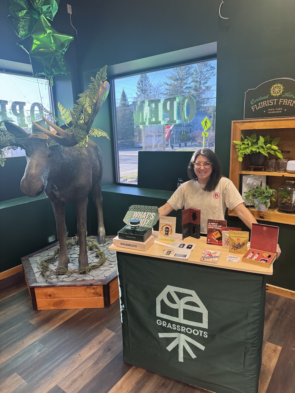 The Mellow Moose photo 8