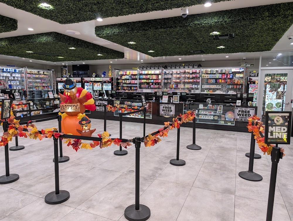 The Mint Dispensary photo 8